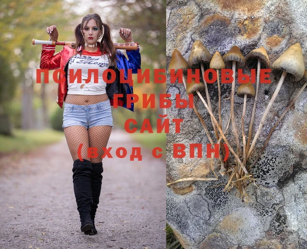 прущие крисы Гусь-Хрустальный