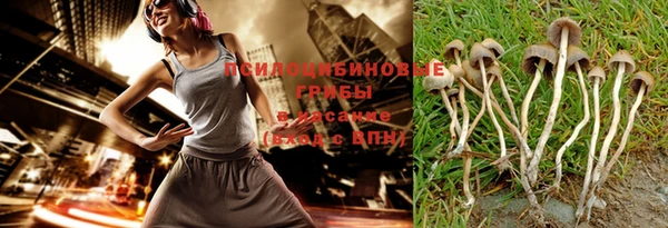 метадон Гусиноозёрск