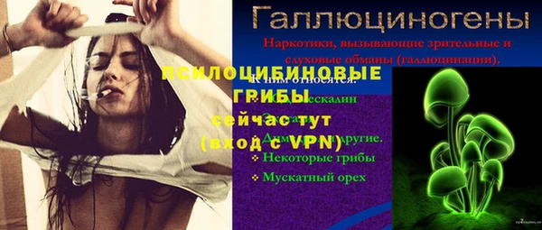 прущие крисы Гусь-Хрустальный